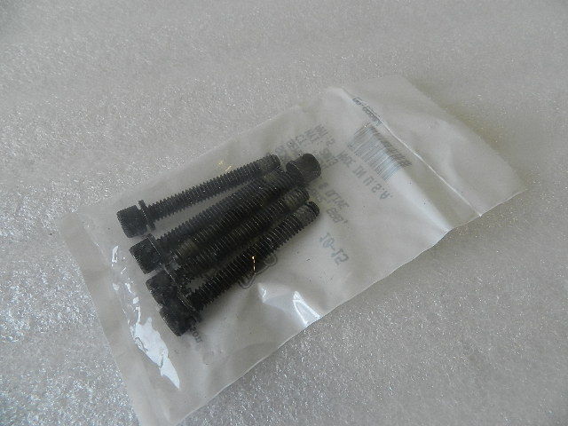 4824 NEW OEM BUELL SCREW 1/4-20x2 GR8 HEX HEAD (5-PACK)