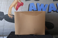 
              5290099AD NEW OEM 2003-2006 DODGE VIPER SRT-10 RADIATOR COOLING FAN MODULE
            