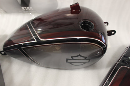 CPV-5093774 NEW OEM 2018-2022 HARLEY-DAVIDSON FATBOB FXFB FXFBS FATBOB CUSTOM PAINT SET