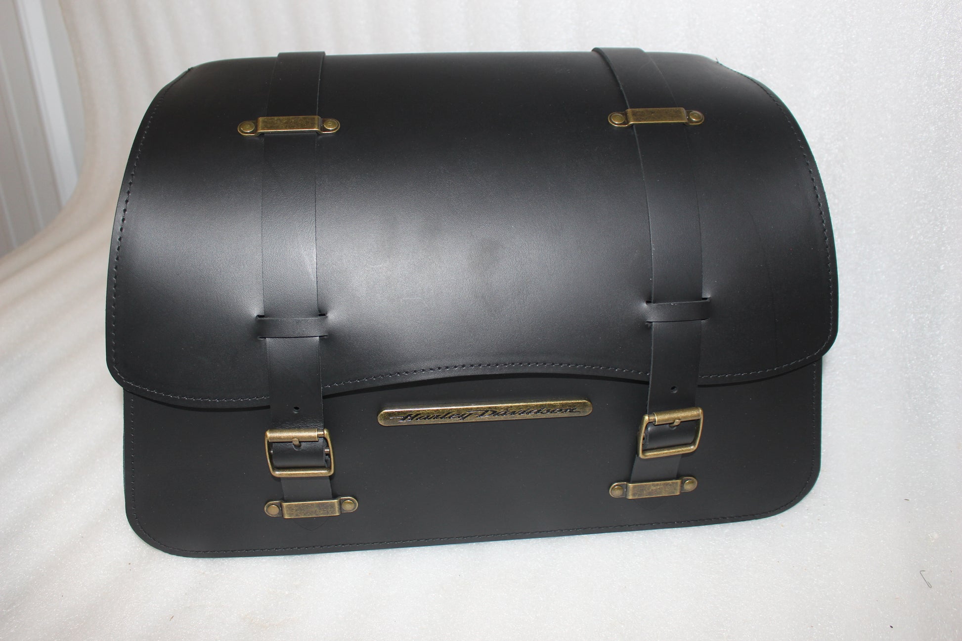 90201553 NEW OEM 2018 AND NEWER HARLEY-DAVIDSON SOFTAIL RIGHT SADDLEBAG