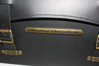 
              90201553 NEW OEM 2018 AND NEWER HARLEY-DAVIDSON SOFTAIL RIGHT SADDLEBAG
            