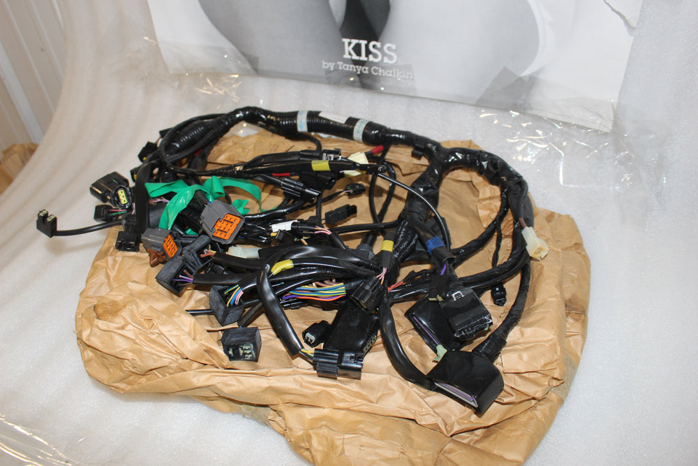 NEW OEM 2009-2020 TRIUMPH THUNDERBIRD WIRING HARNESS NA TO ABS T2500648