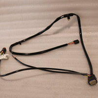 NEW OEM NOS HARLEY WIRING HARNESS ACTIVE EXHAUST FLH 69160-05